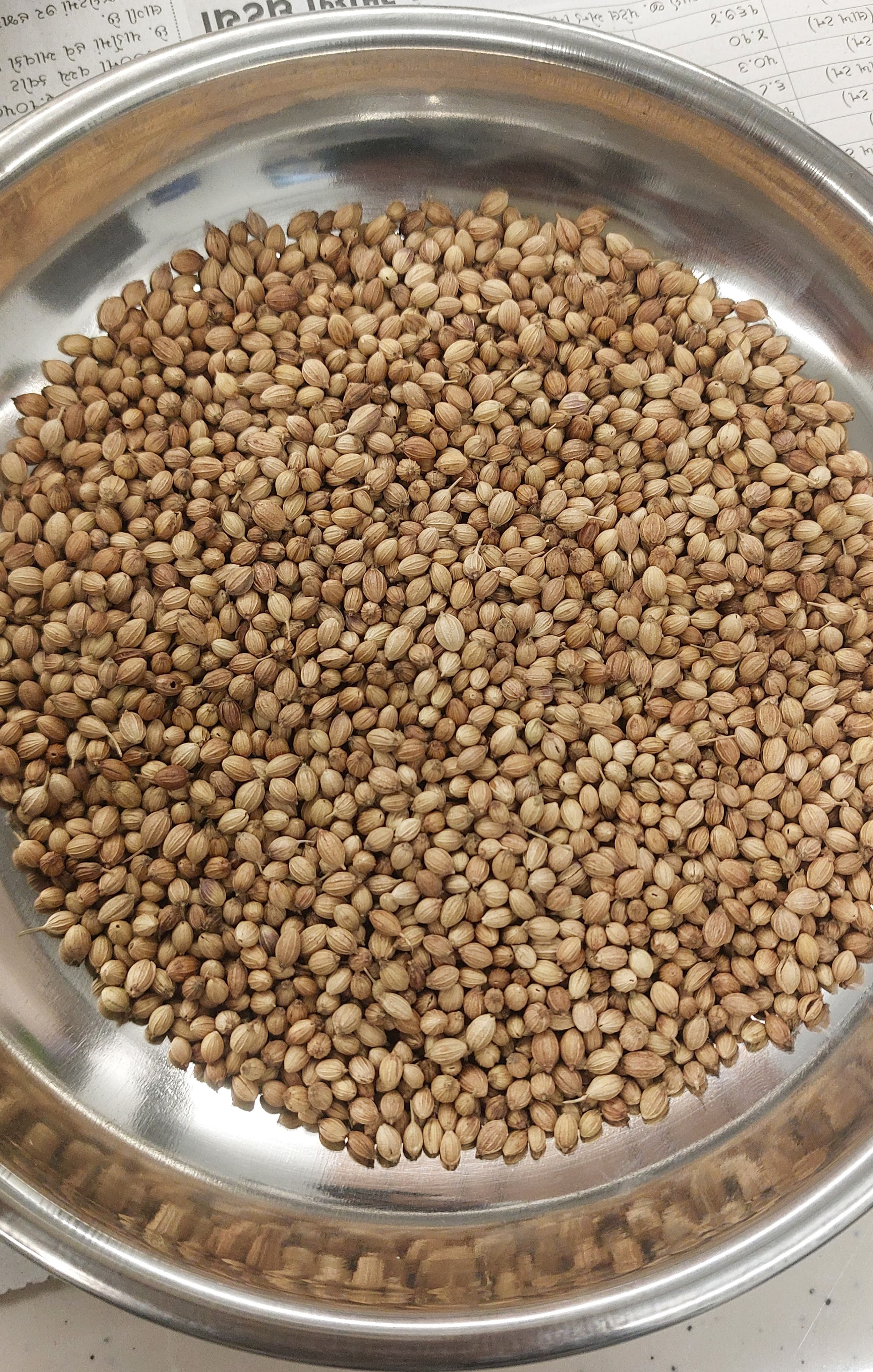 Coriander Seeds